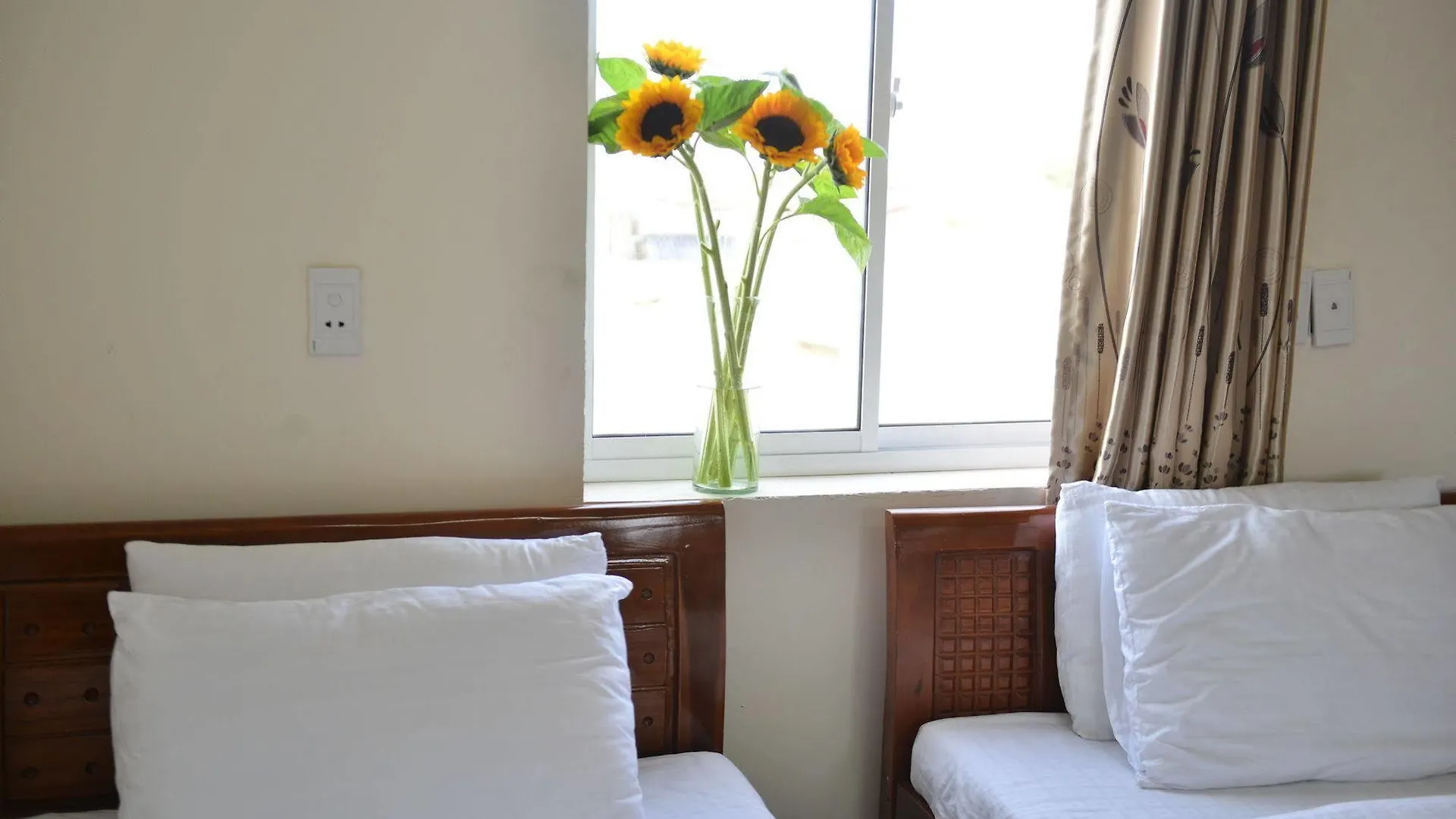 Oc Tien Sa Hotel Da Nang